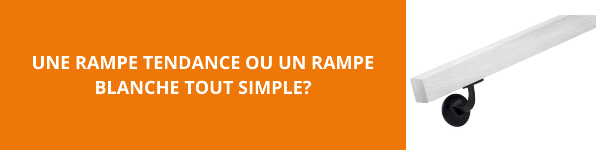 Une rampe tendance ou un rampe blanche toute simple?